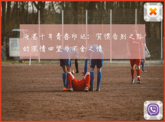海港十年青春印记：贺惯告别之际的深情回望与不舍之情